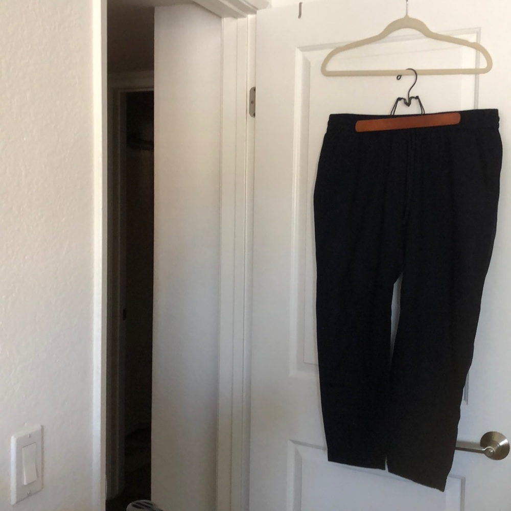 JCrew Navy Linen Pants